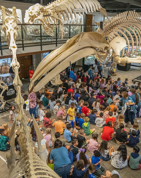 Large Field Trip at Skeleton Museum
