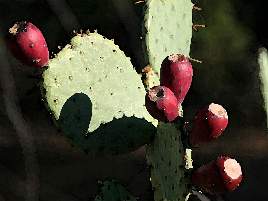 Painting of Desert Fruit